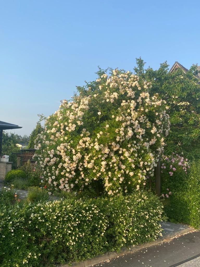 Ferienwohnung Hinterhermsdorf Glaser Sebnitz Exteriér fotografie